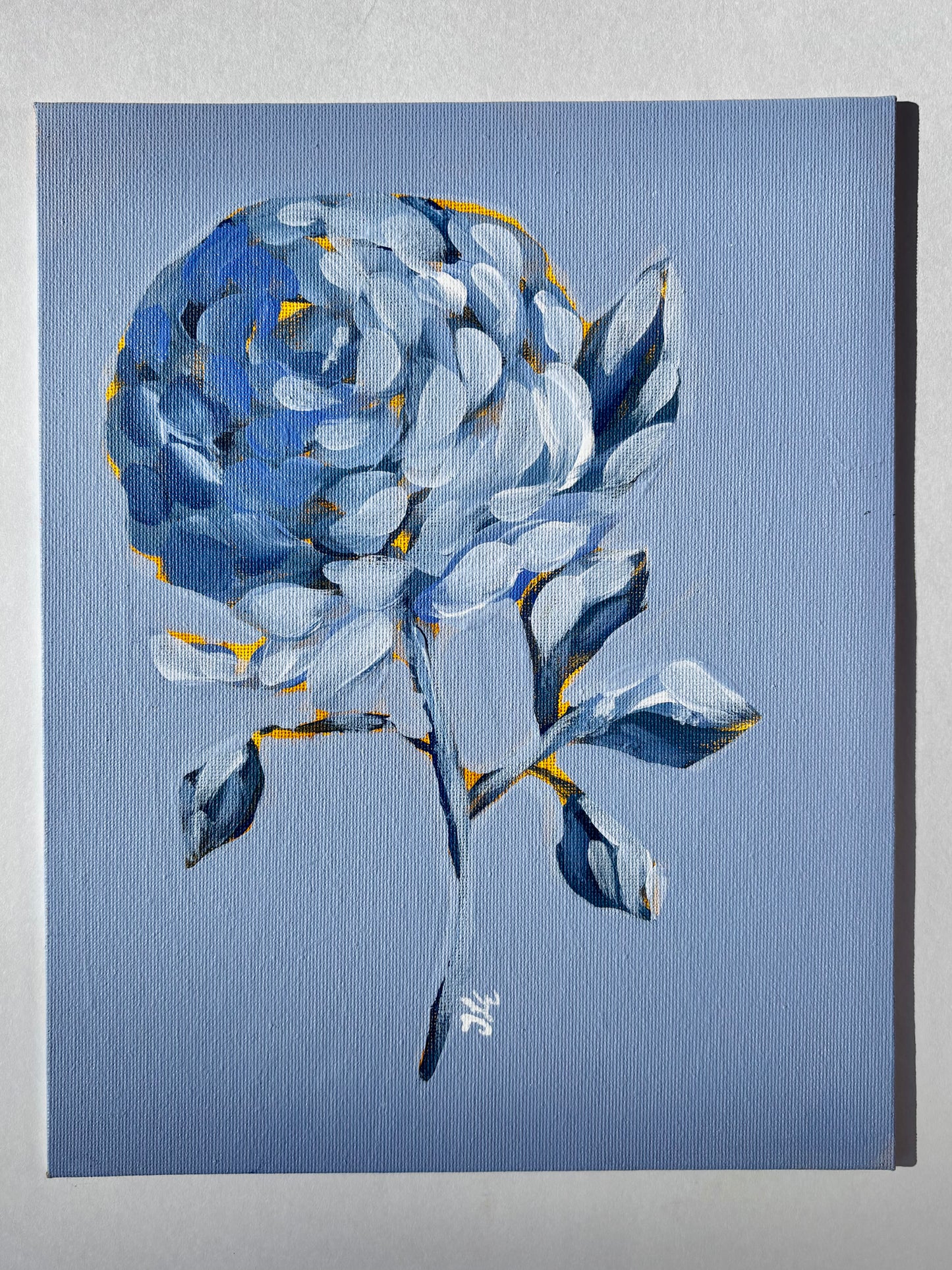 Blue Blossom Study II 8x10