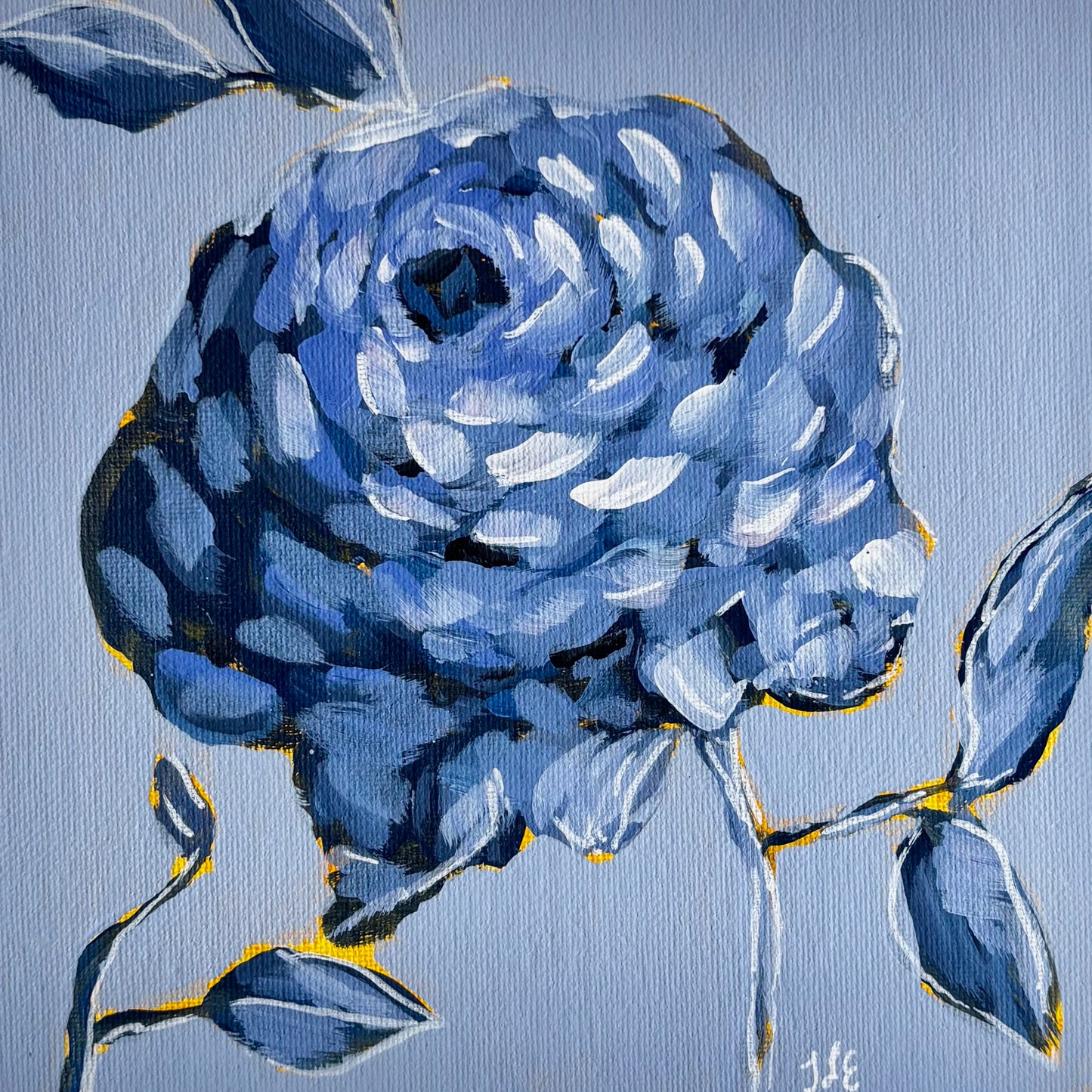 Blue Ranunculus Study 8x8