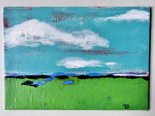 Marsh Mini #1