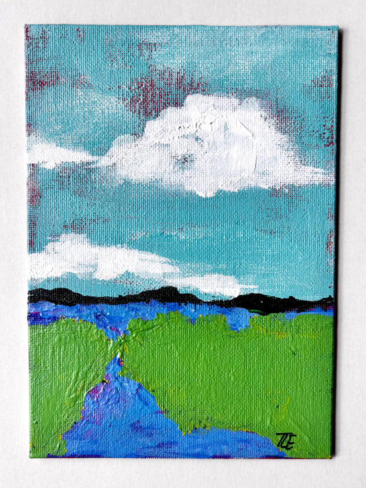 Marsh Mini #4
