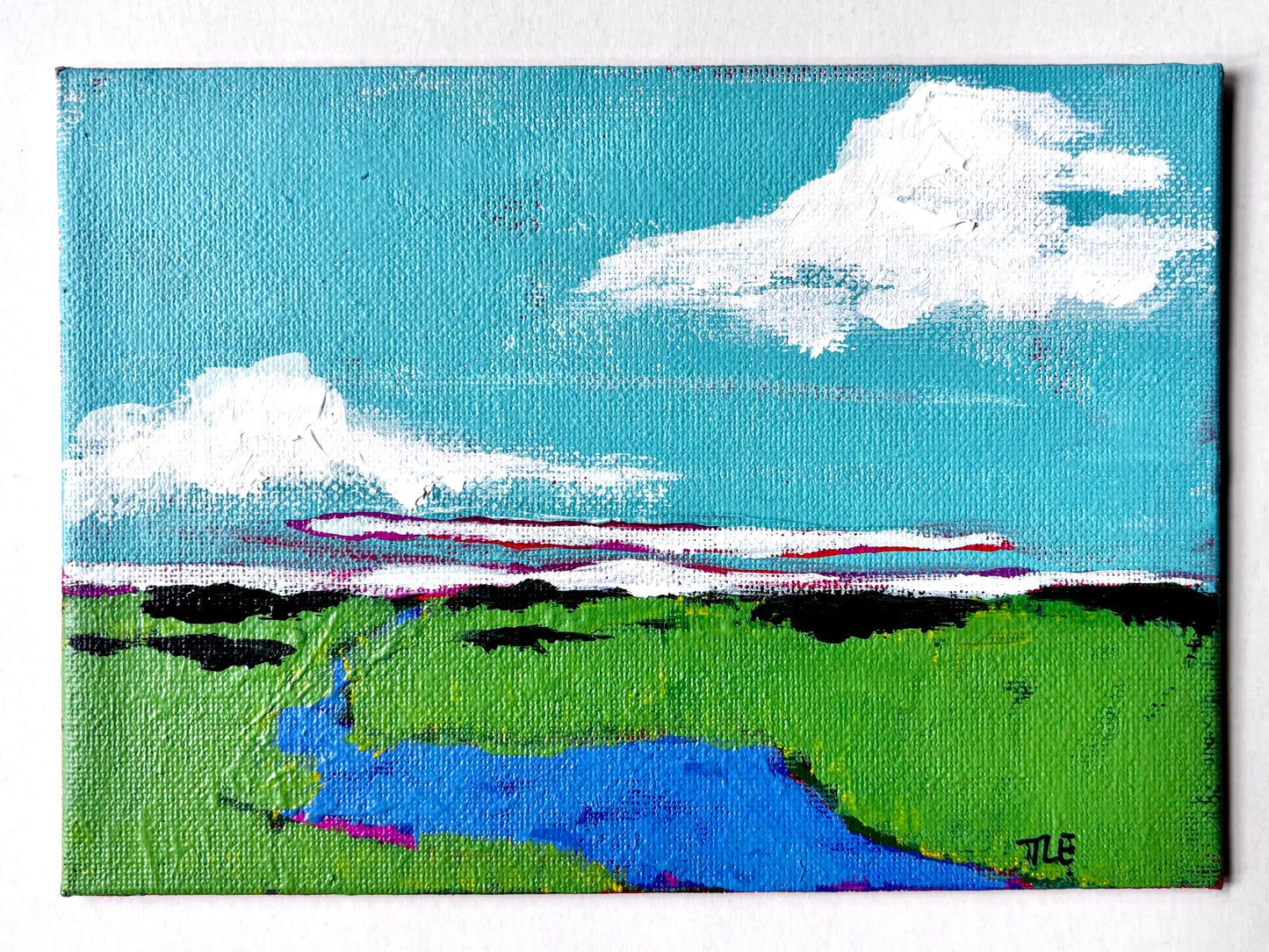 Marsh Mini #5