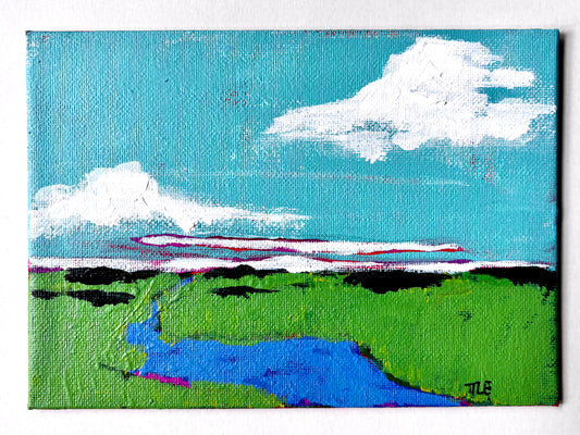 Marsh Mini #5